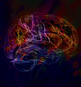 3D scan of human brain