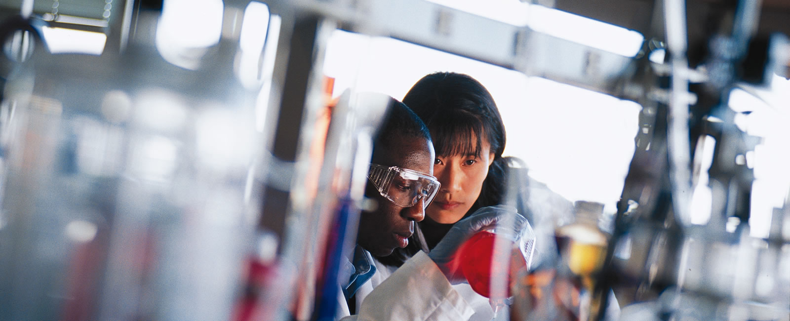 In the lab where a student and faculty member collaborate and examine red chemicals in flasks