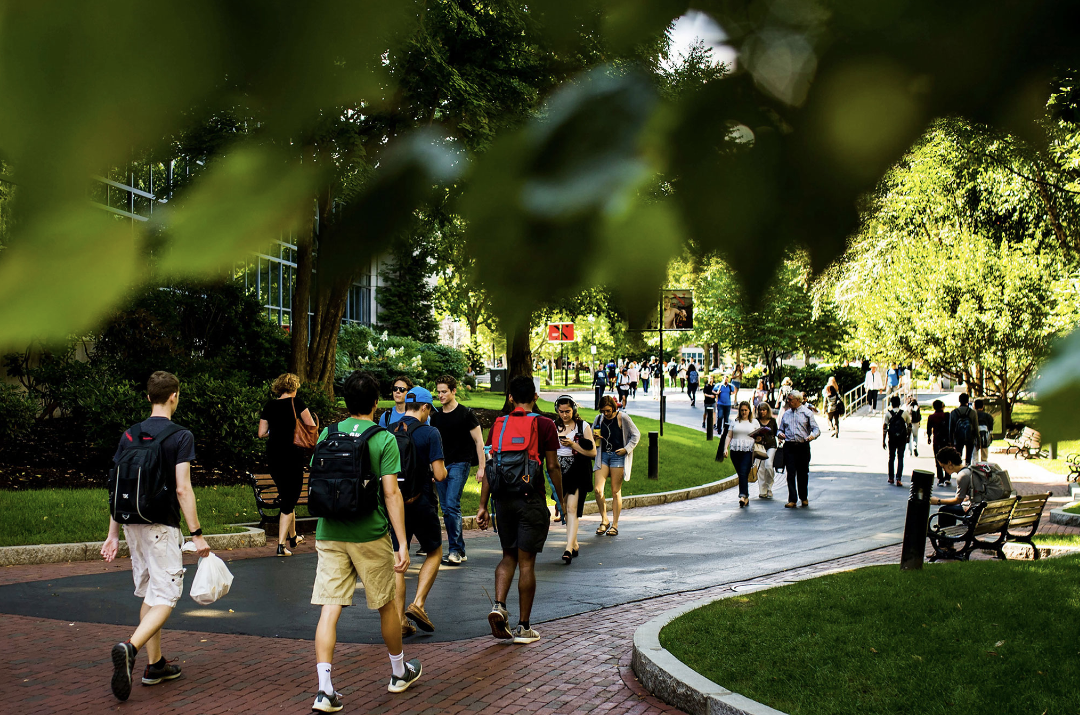 Student walking to class through Northeastern's beautiful leafy green campus, Boston, Massachusetts.