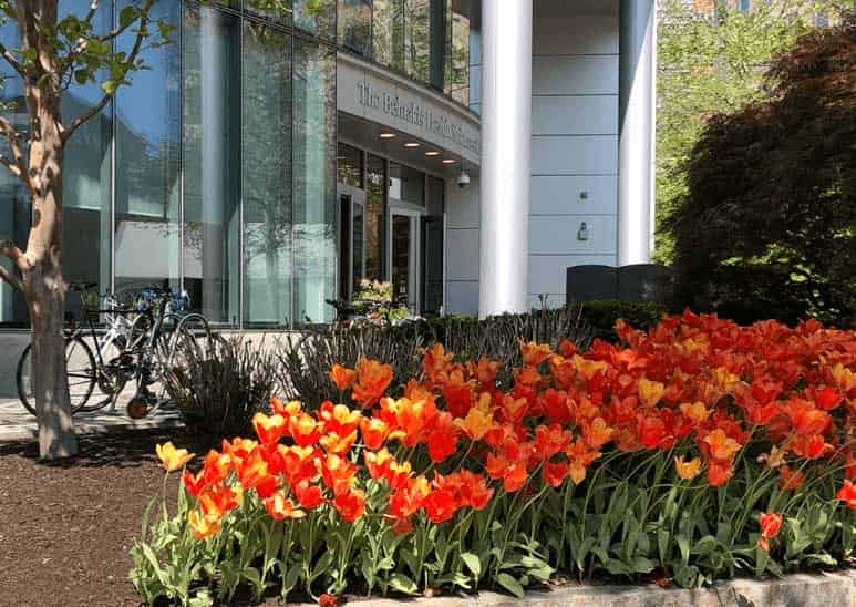 Exterior of Behrakis Health Science Center at Northeastern University with a blaze of red and yellow tulips