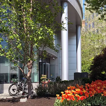 Entrance to building with a bicycle and blooming tulips