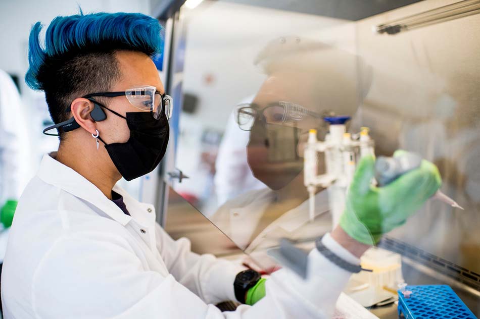 Northeastern male student with blue hair using a pipette under a fume hood to do pharmaceutical research