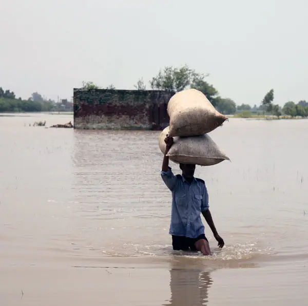 Man wading through flood water with sacks on his head.
