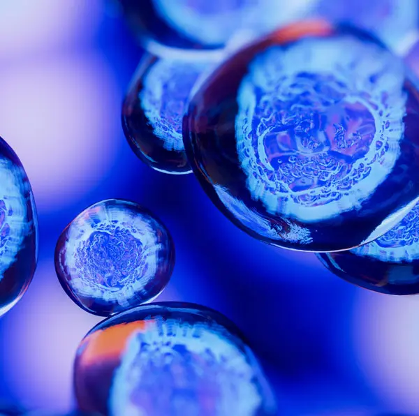 Cells in ultraviolet light
