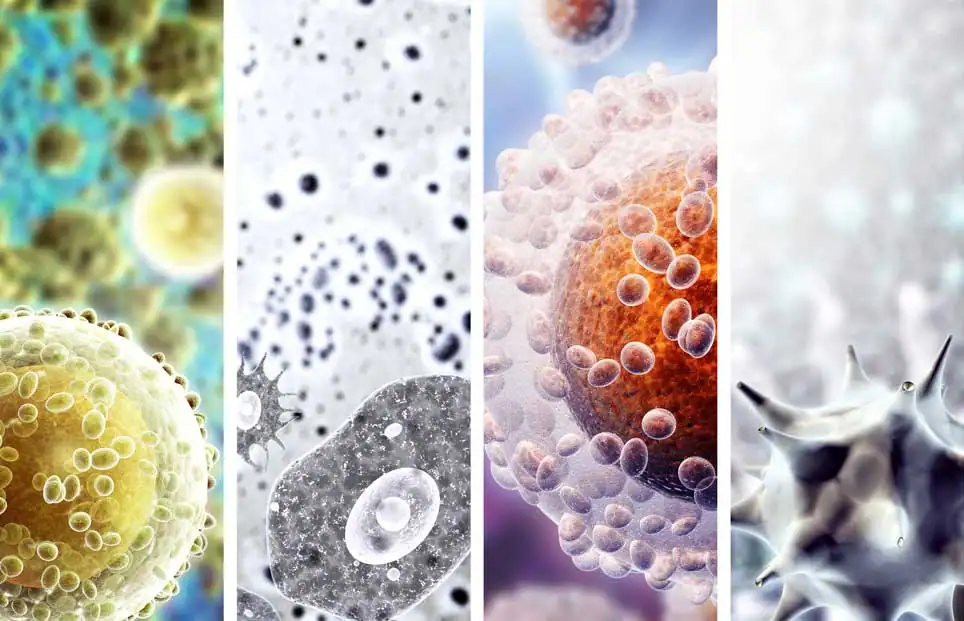 Various micro organisms