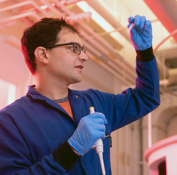 Graduate student doing research at Northeastern's Drug Discovery Lab.