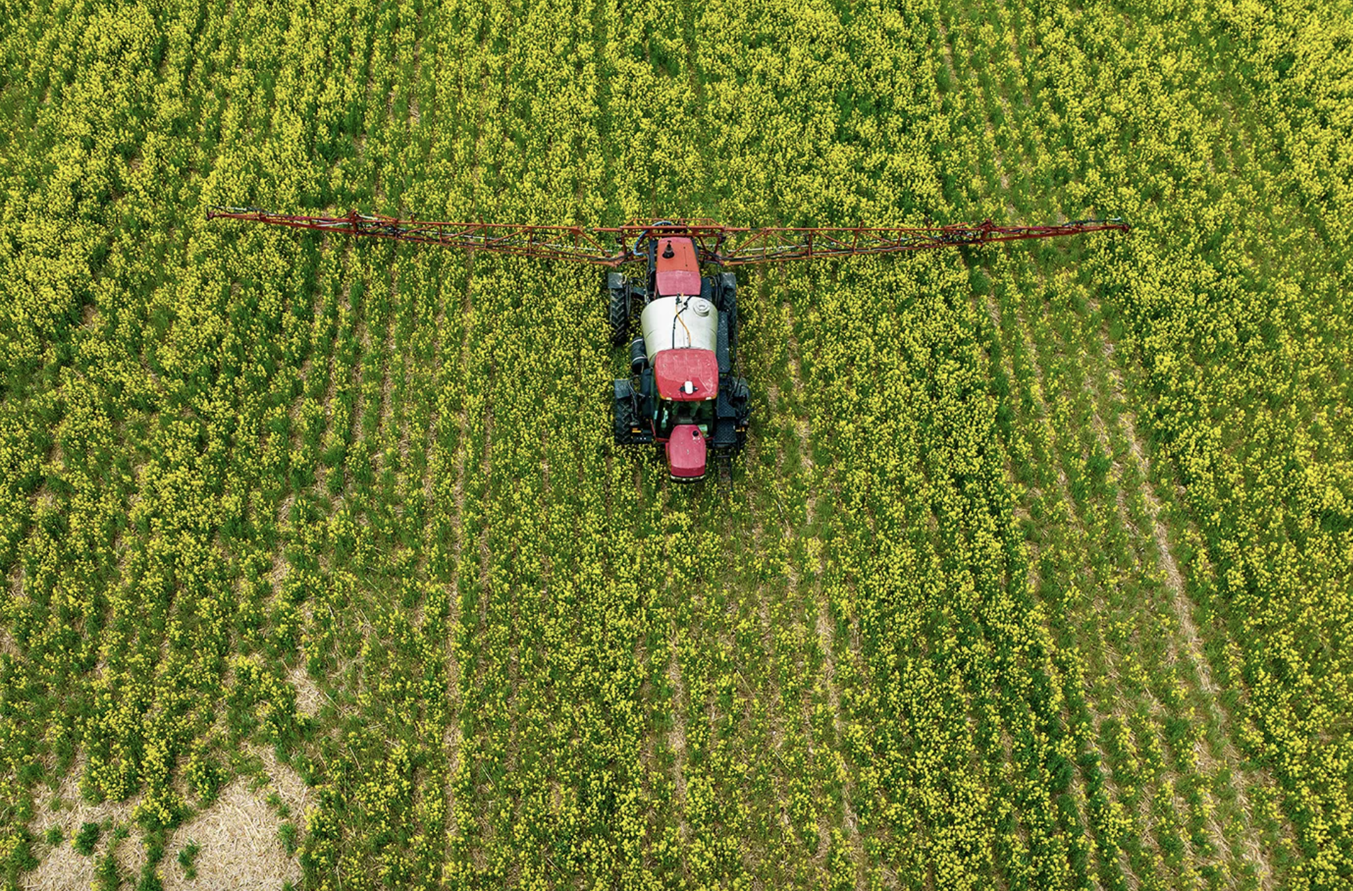 A farmer spreads pesticide on a field in Centreville, Maryland. Photo by JIM WATSON/AFP via Getty Images
