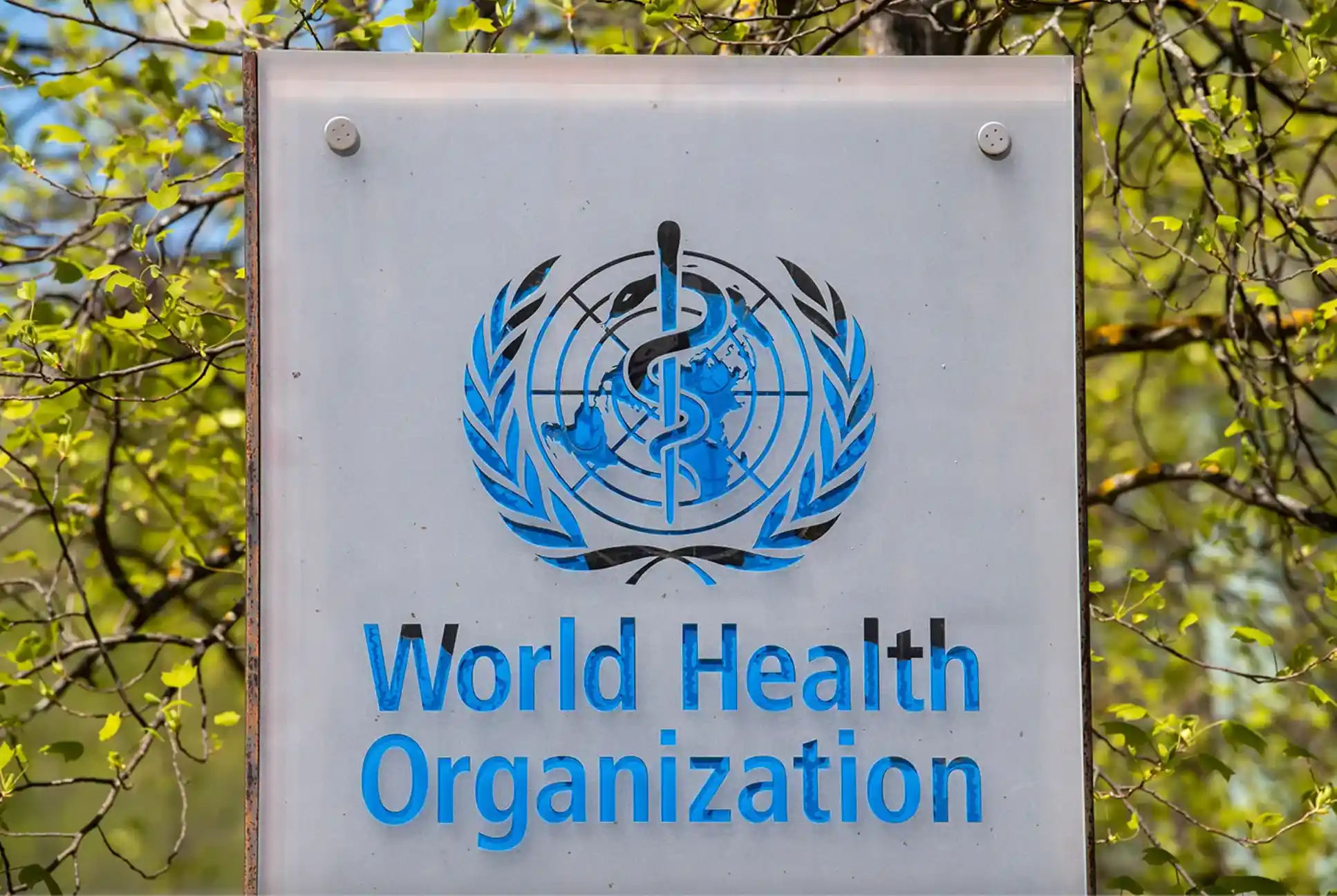 World Health Organization sign