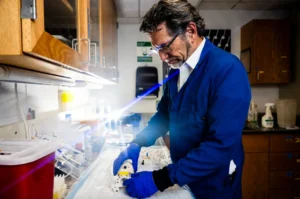 Northeastern professor of psychology and pharmaceutical sciences Craig Ferris was involved in a study on risk factors for Alzheimer’s. Photo by Alyssa Stone/Northeastern University
