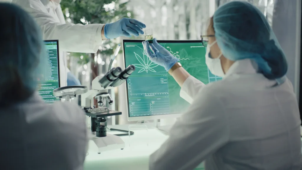 Medical marijuana research. Preparing pharmaceutical CBD oil. Passing bottle with oil sample stock photo
