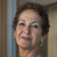Lara Szent Gyorgyi, Northeastern University