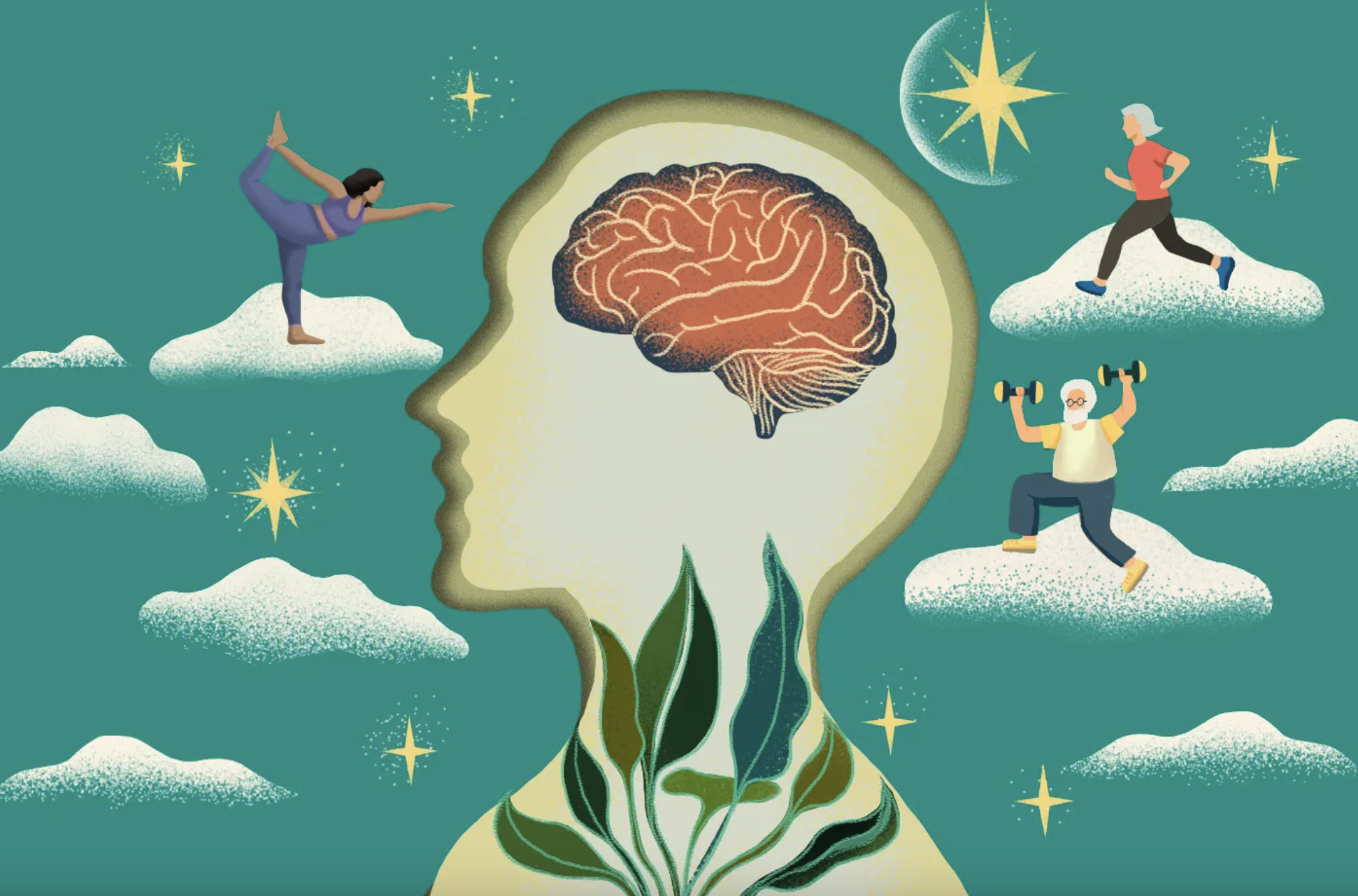 The study provides a look at the correlation between changes in key brain regions seen on images of participants’ brains and the decline in physical activity. Illustration by Renee Zhang