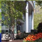 NU PEL placeholder image