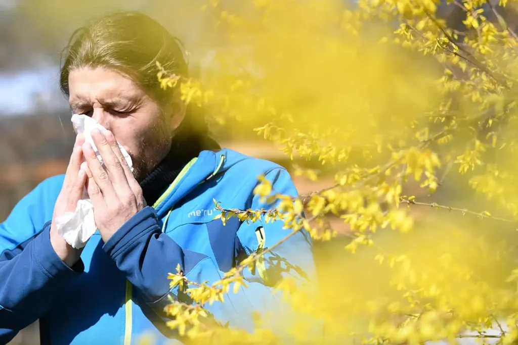 Person standing outside near tree sneezes into a tissue