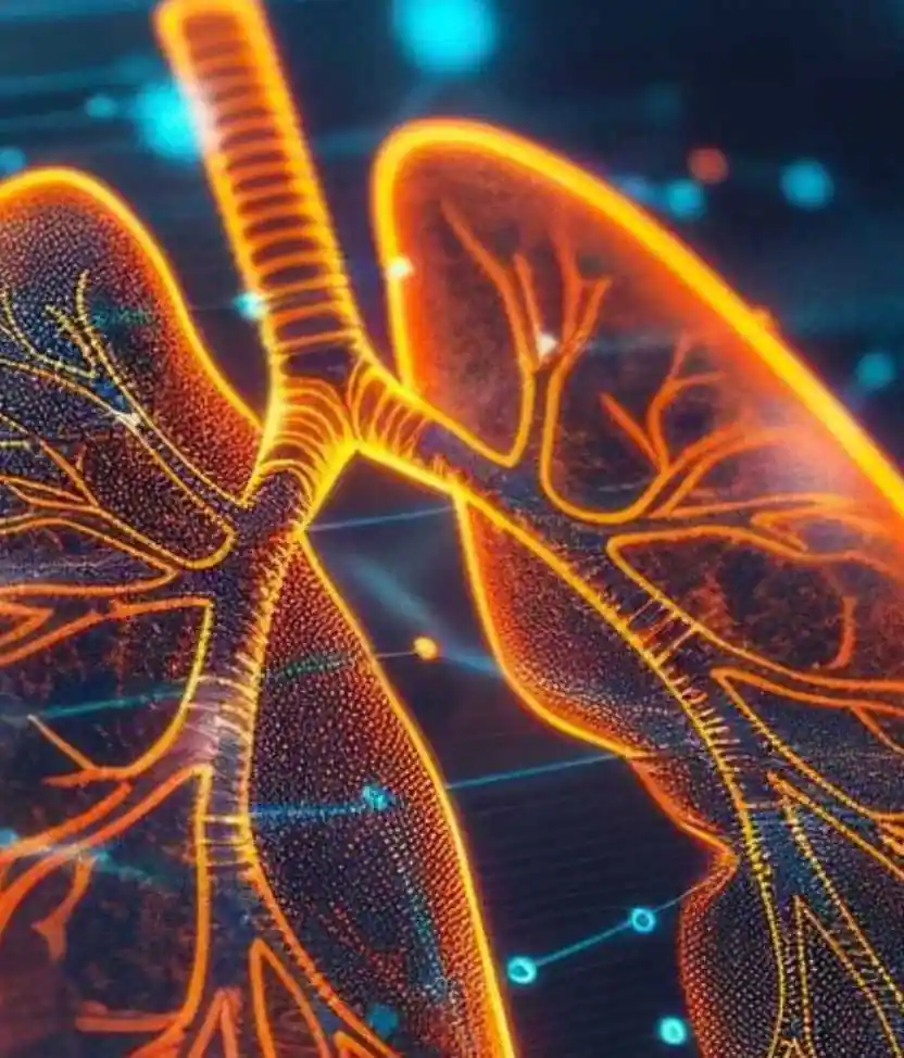 Digital image of lungs